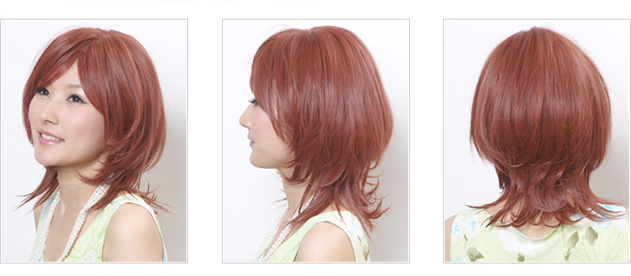 ���f���g�p��ꗗ