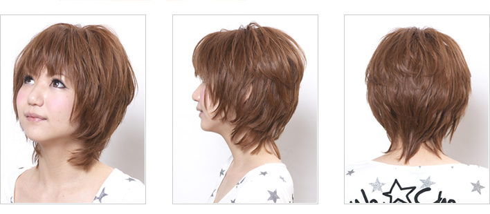 ���f���g�p��ꗗ